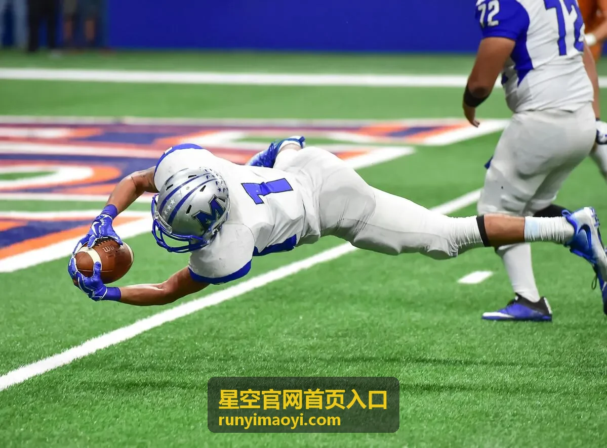 星空官网首页入口登录帮助中找回密码与重置流程示意
