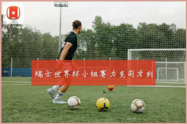 瑞士世界杯小组赛力克匈牙利