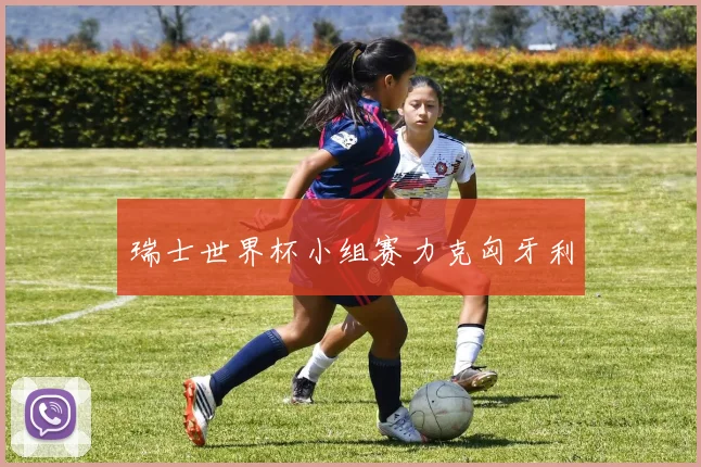 瑞士世界杯小组赛力克匈牙利